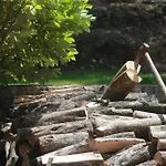 Alivi Di A Restonica * Corte