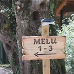 Alivi Di A Restonica Kemping