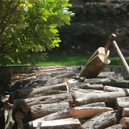 Alivi Di A Restonica * كورتي