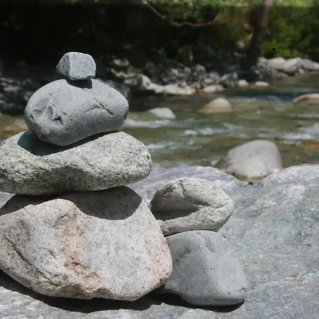 Alivi Di A Restonica *