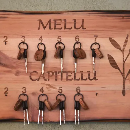 Alivi Di A Restonica