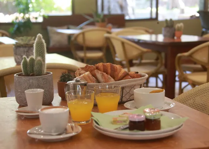 Alivi Di A Restonica Kemp