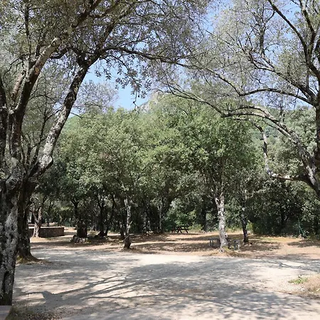 Campingplatz Alivi Di A Restonica Corte (Corsica)