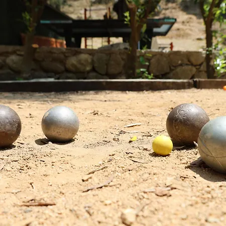 Alivi Di A Restonica *