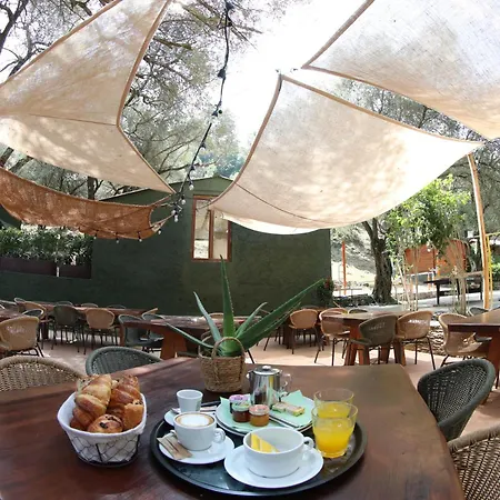 Alivi Di A Restonica كورتي