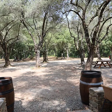 Alivi Di A Restonica *