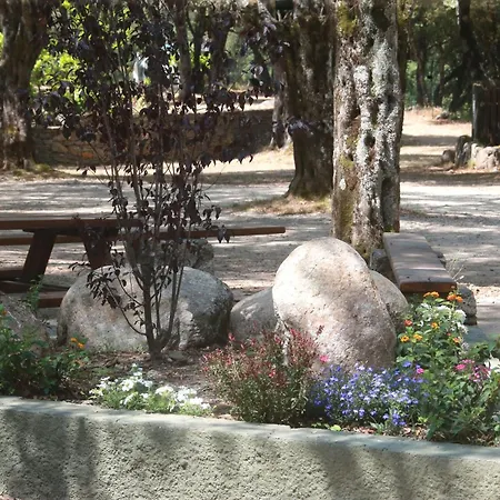 Alivi Di A Restonica مكان تخييم *