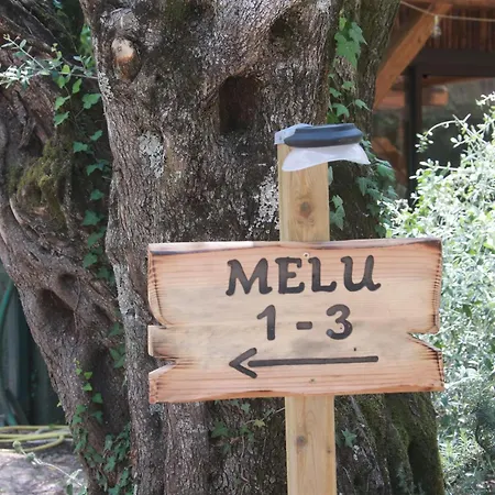 Alivi Di A Restonica مكان تخييم