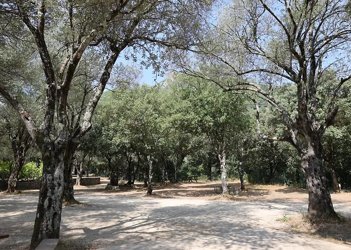 Campsite Alivi Di A Restonica Corte (Corsica)