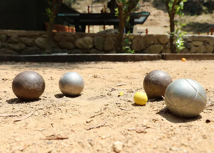 Alivi Di A Restonica *