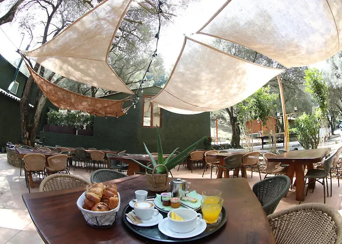 Alivi Di A Restonica קורטה