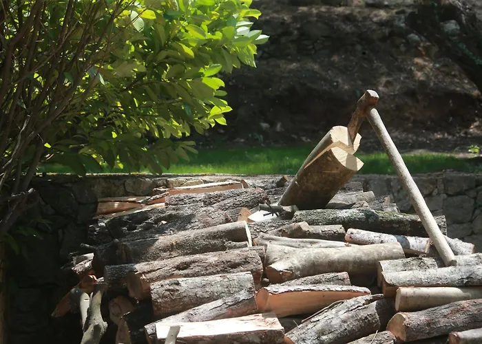 Alivi Di A Restonica * קורטה