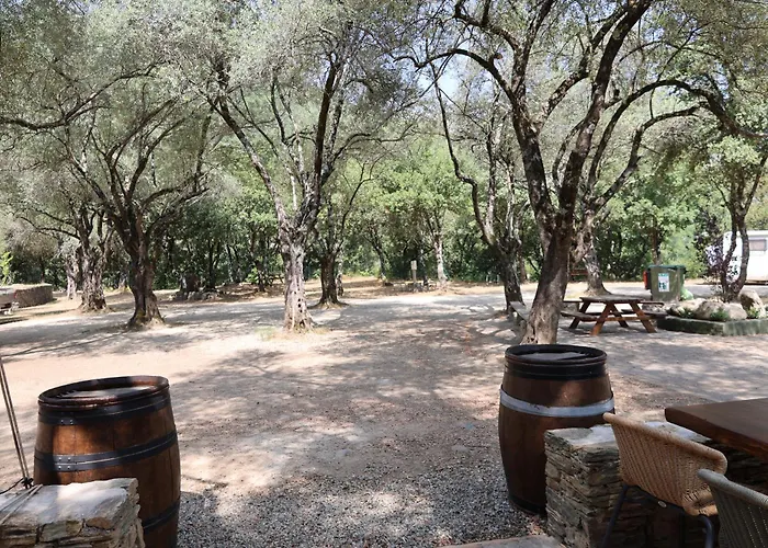 Alivi Di A Restonica *