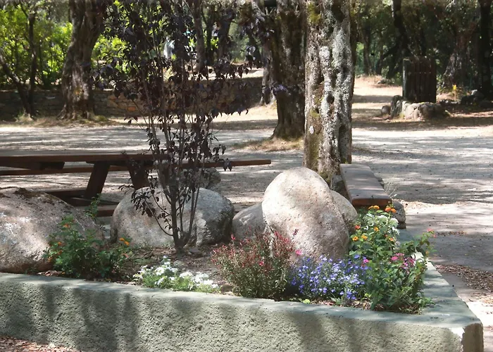 Alivi Di A Restonica Campsite *