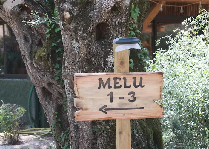 Alivi Di A Restonica אתר קמפינג