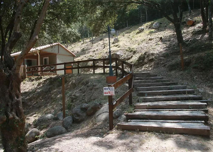 Alivi Di A Restonica Campsite Corte (Corsica)