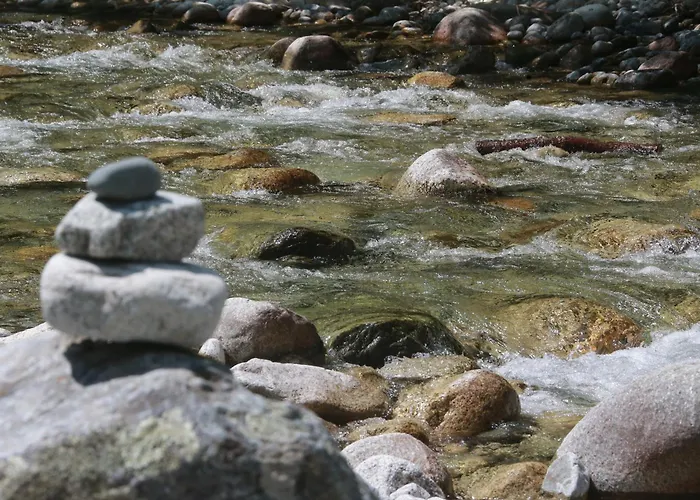 Alivi Di A Restonica Corte (Corsica)