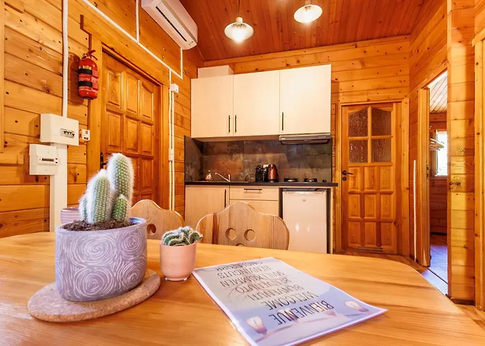 Alivi Di A Restonica אתר קמפינג *